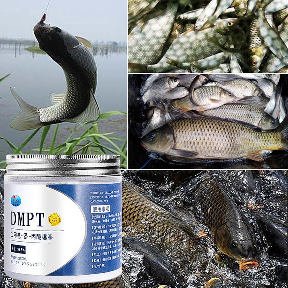 Приманка для рыбной ловли, 50  – обзор и цена Fishing Equipment Market